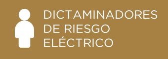 Dictaminadores de Riesgos Electrico